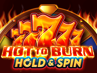 Hot To Burn Hold And Spin game icon